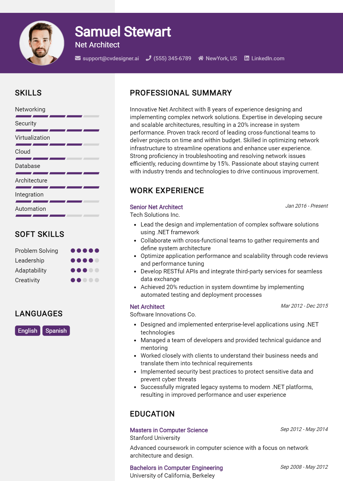 Net Architect Resume Example