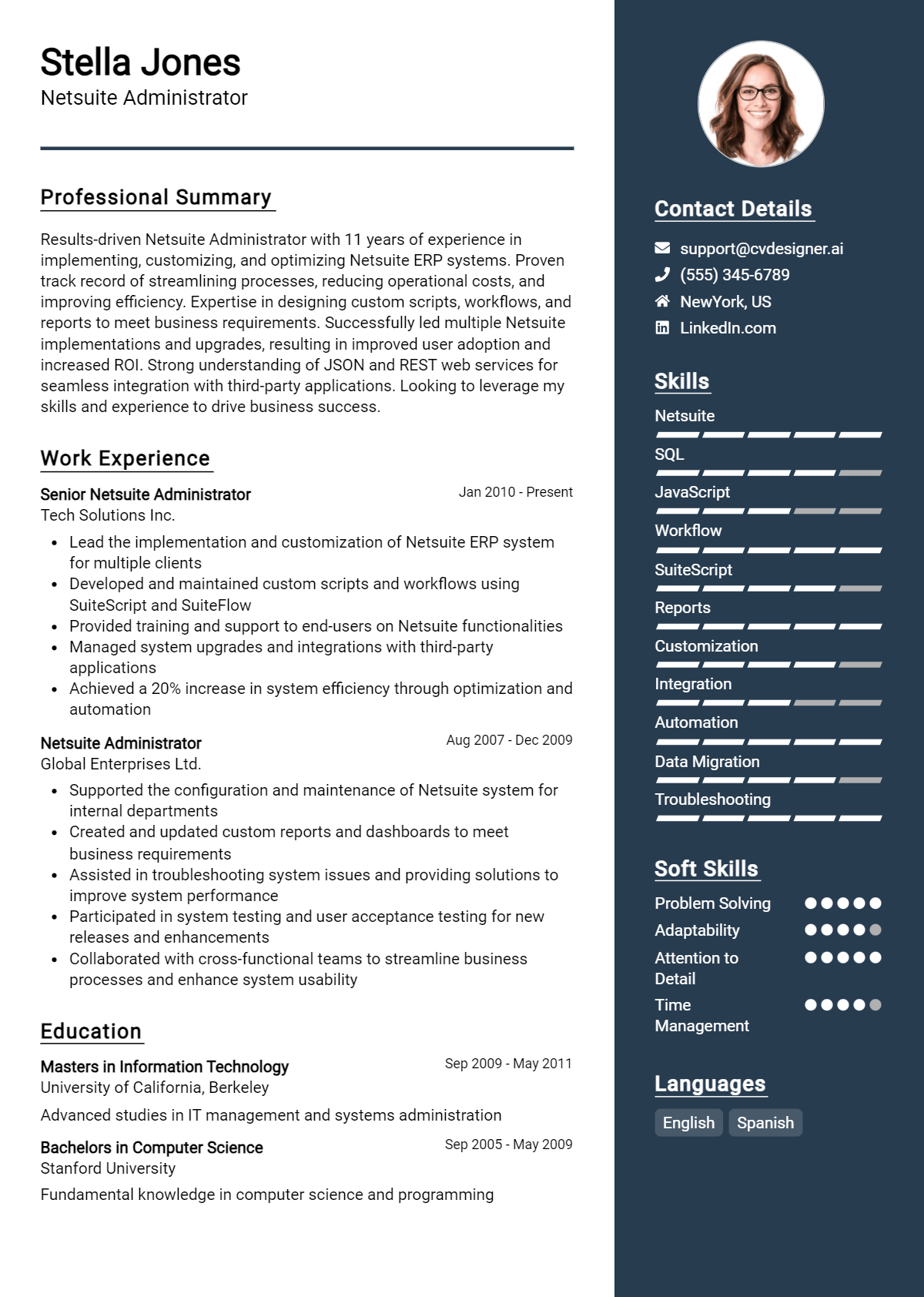 Netsuite Administrator Resume Example