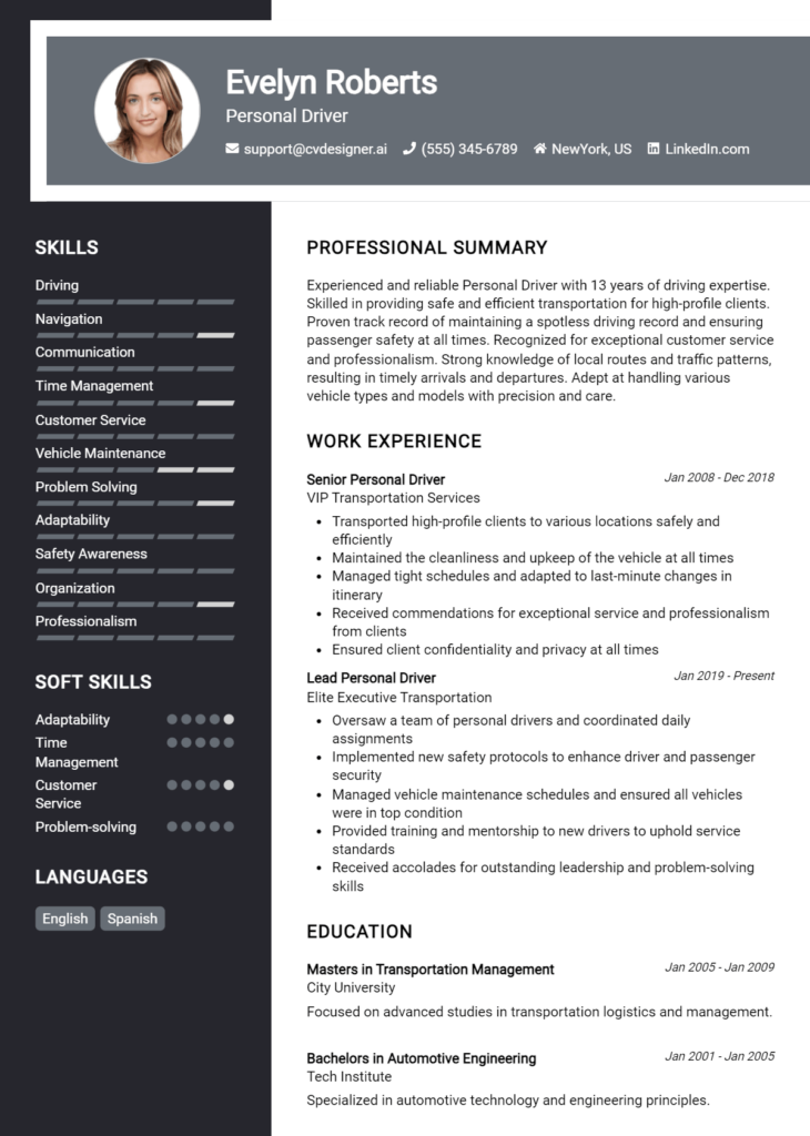 Personal Driver Resume Example