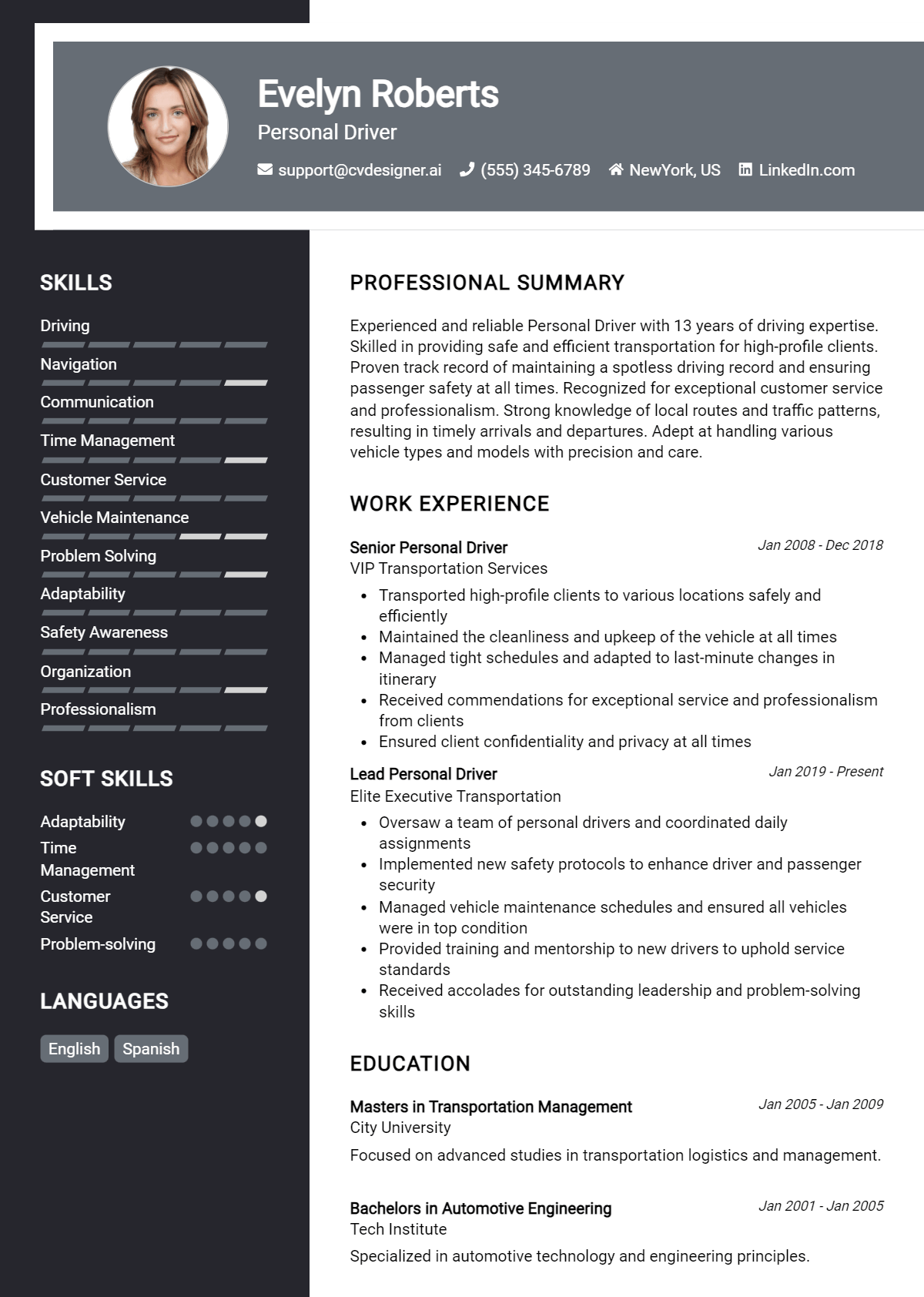 Personal Driver Resume Example