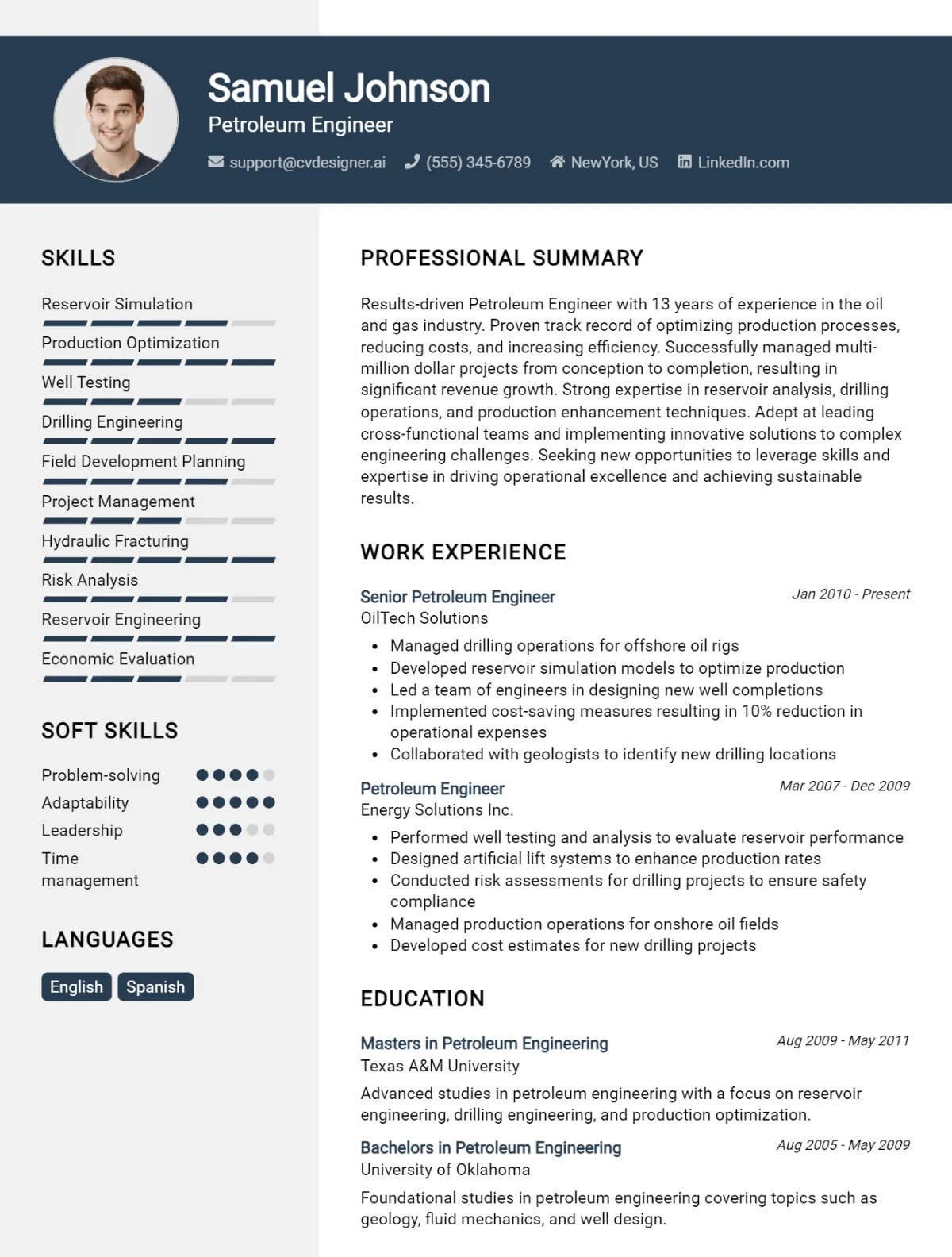 Petroleum Engineer CV Example