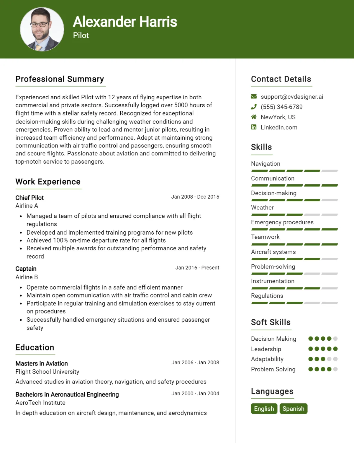 Pilot CV Example