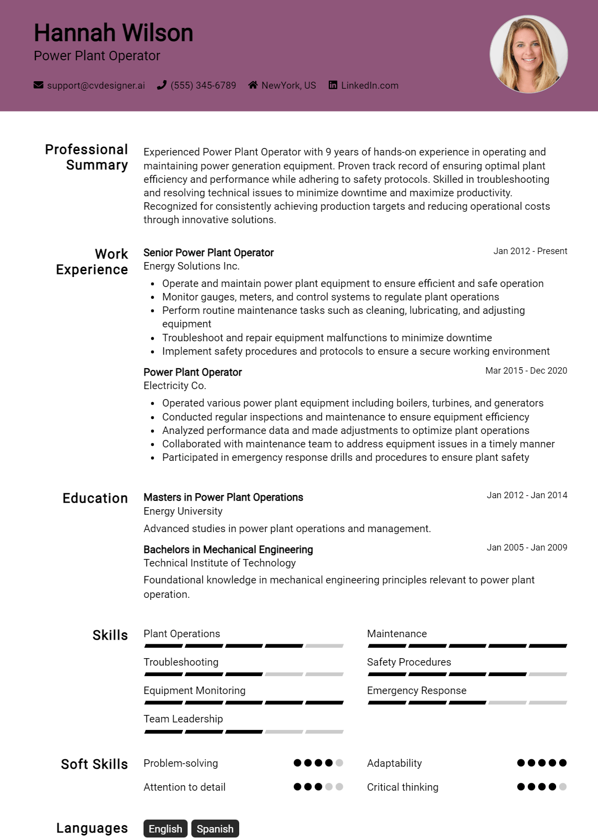 Power Plant Operator Resume Example