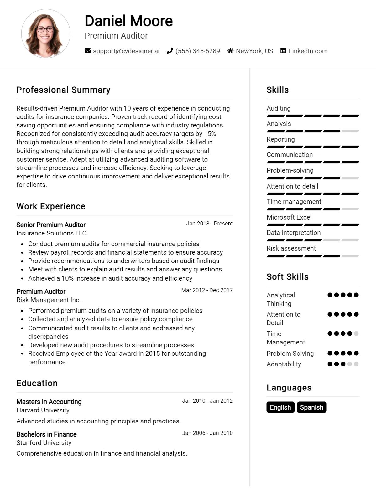 Premium Auditor CV Example