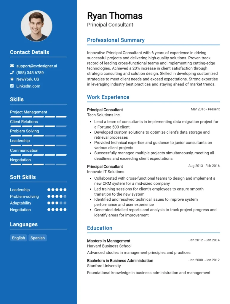 Principal Consultant CV Example