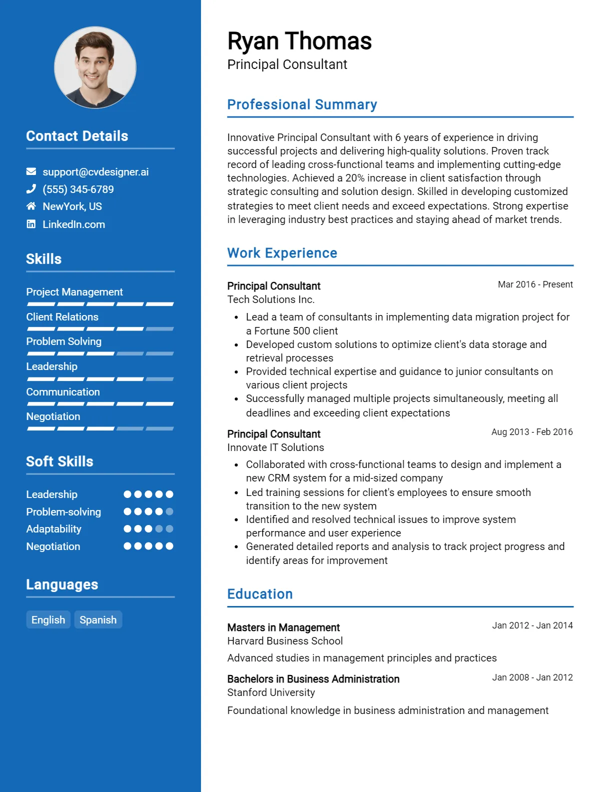Principal Consultant CV Example