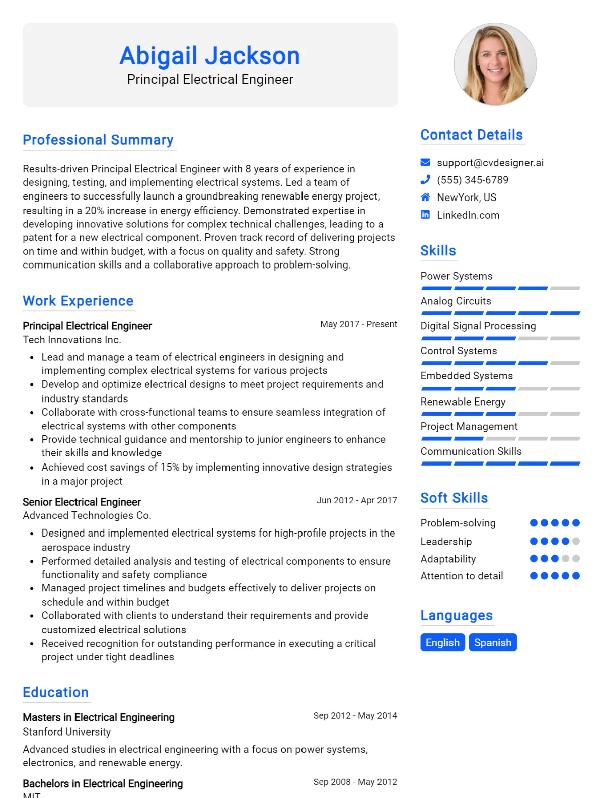 Principal Electrical Engineer CV Example