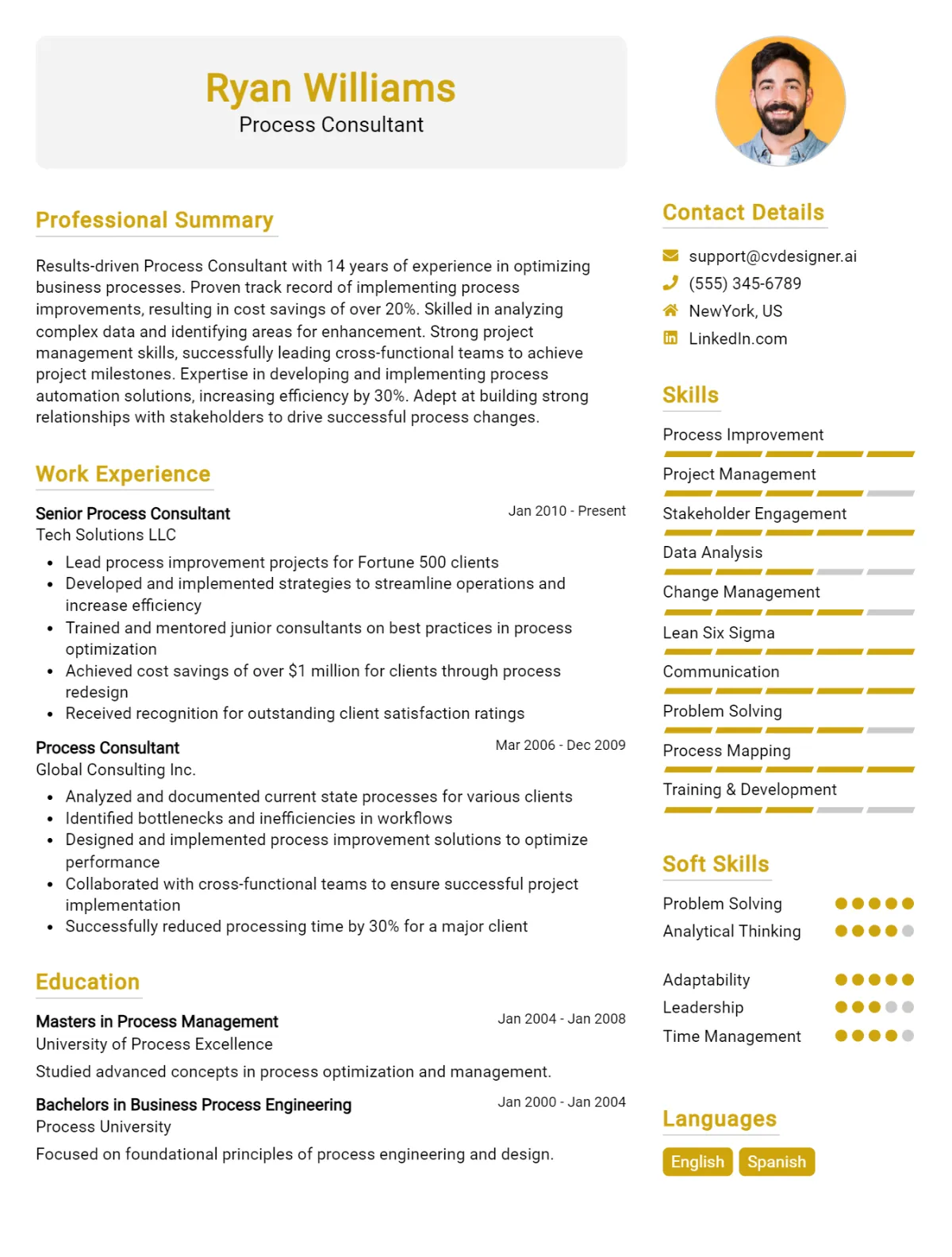 Process Consultant CV Example