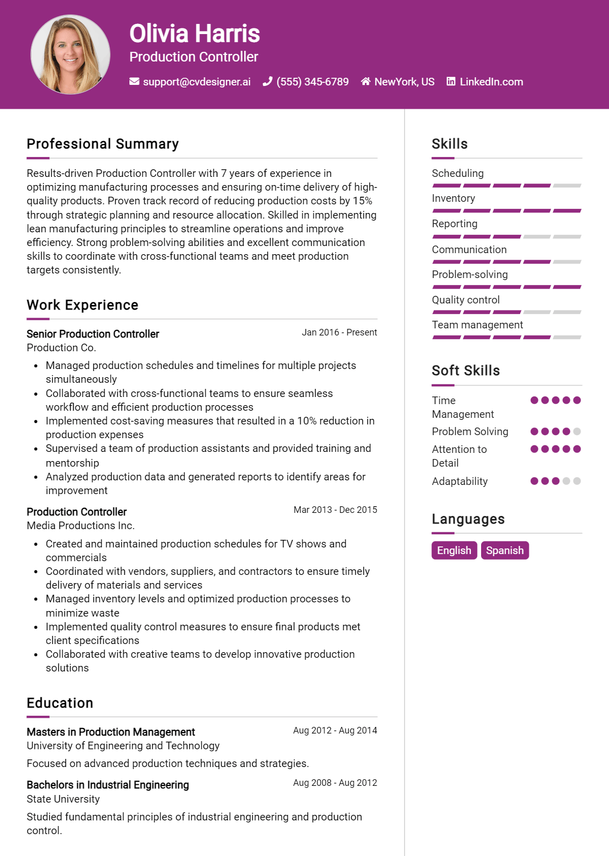 Production Controller Resume Example