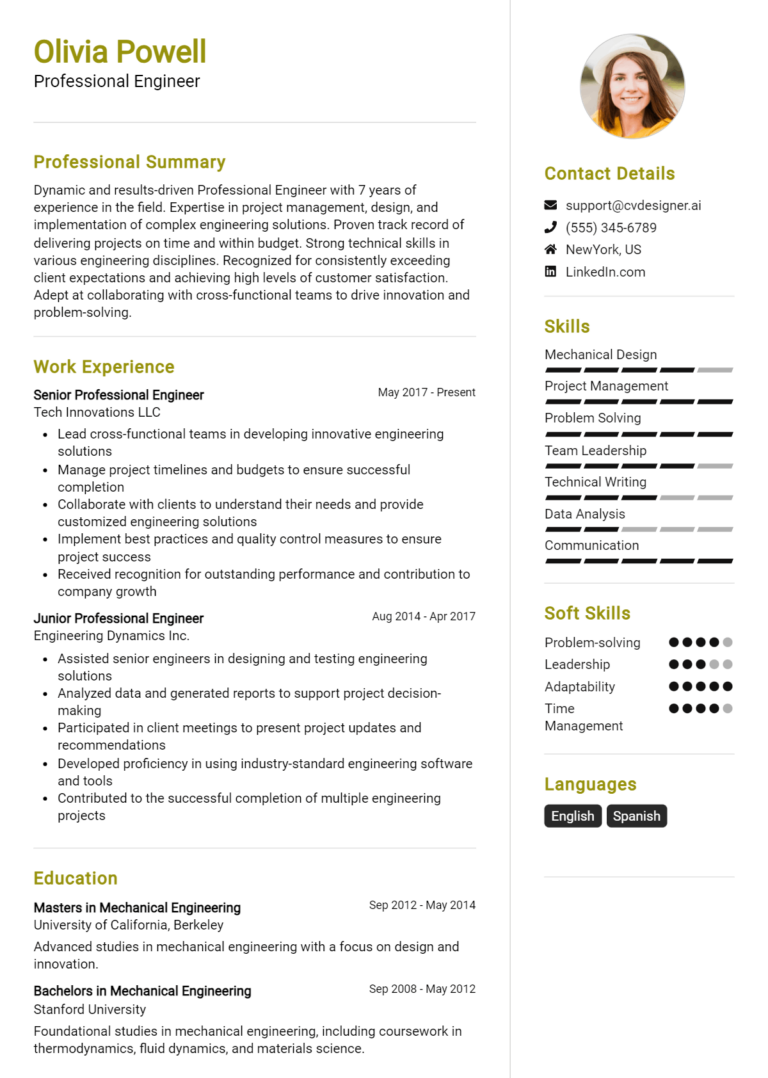 Professional Engineer Resume Example for 2025: Professional CV Templates
