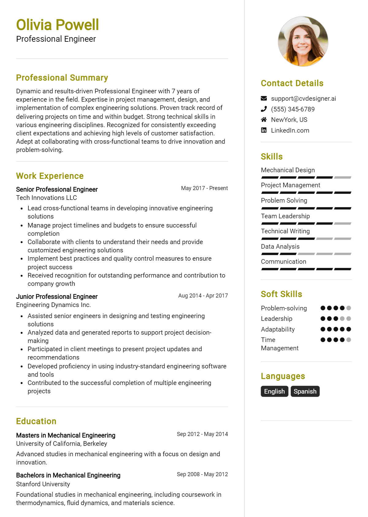 Professional Engineer Resume Example