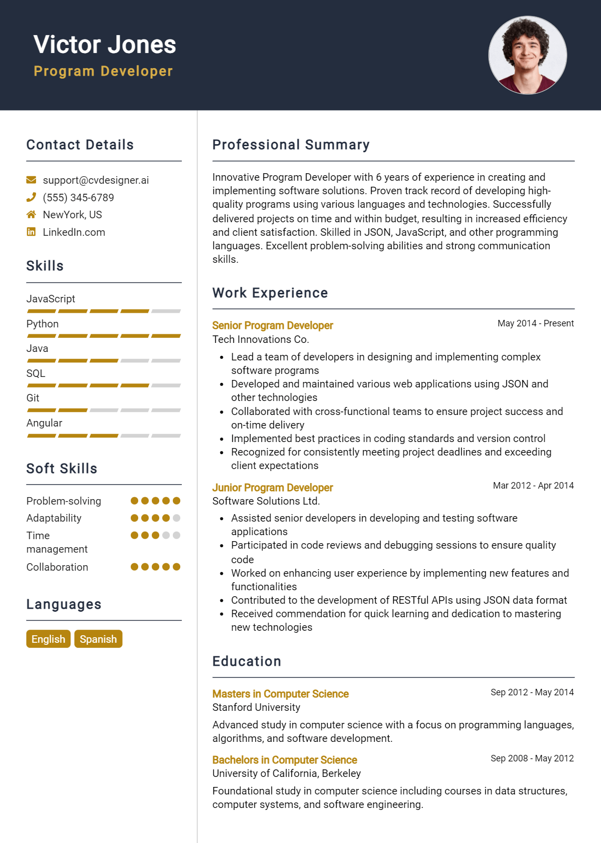 Program Developer Resume Example