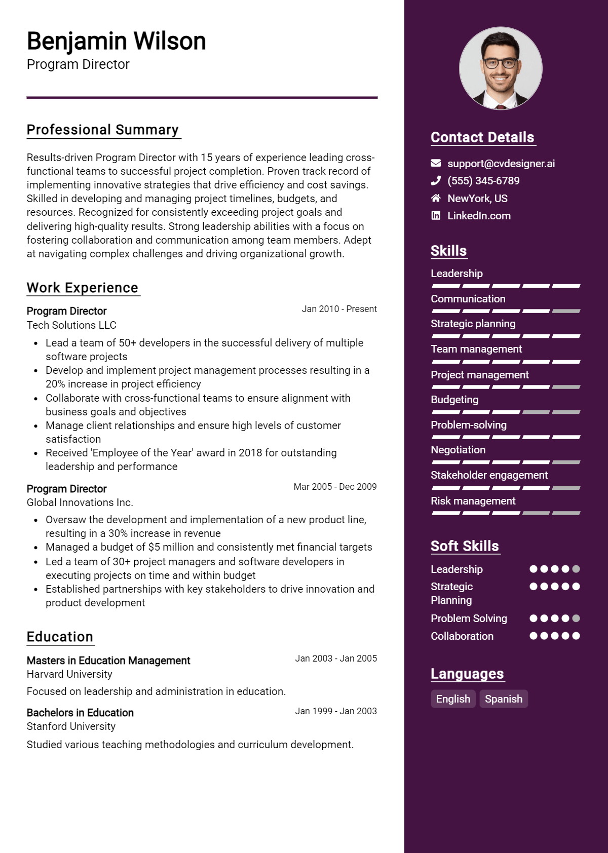 Program Director Resume Example