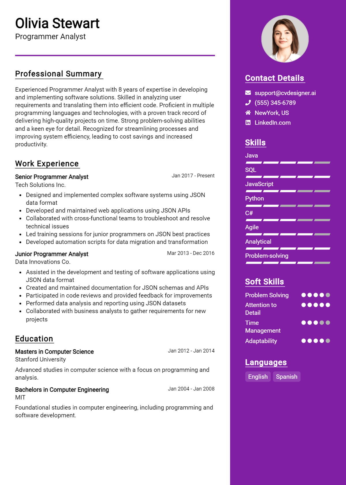 Programmer Analyst Resume Example