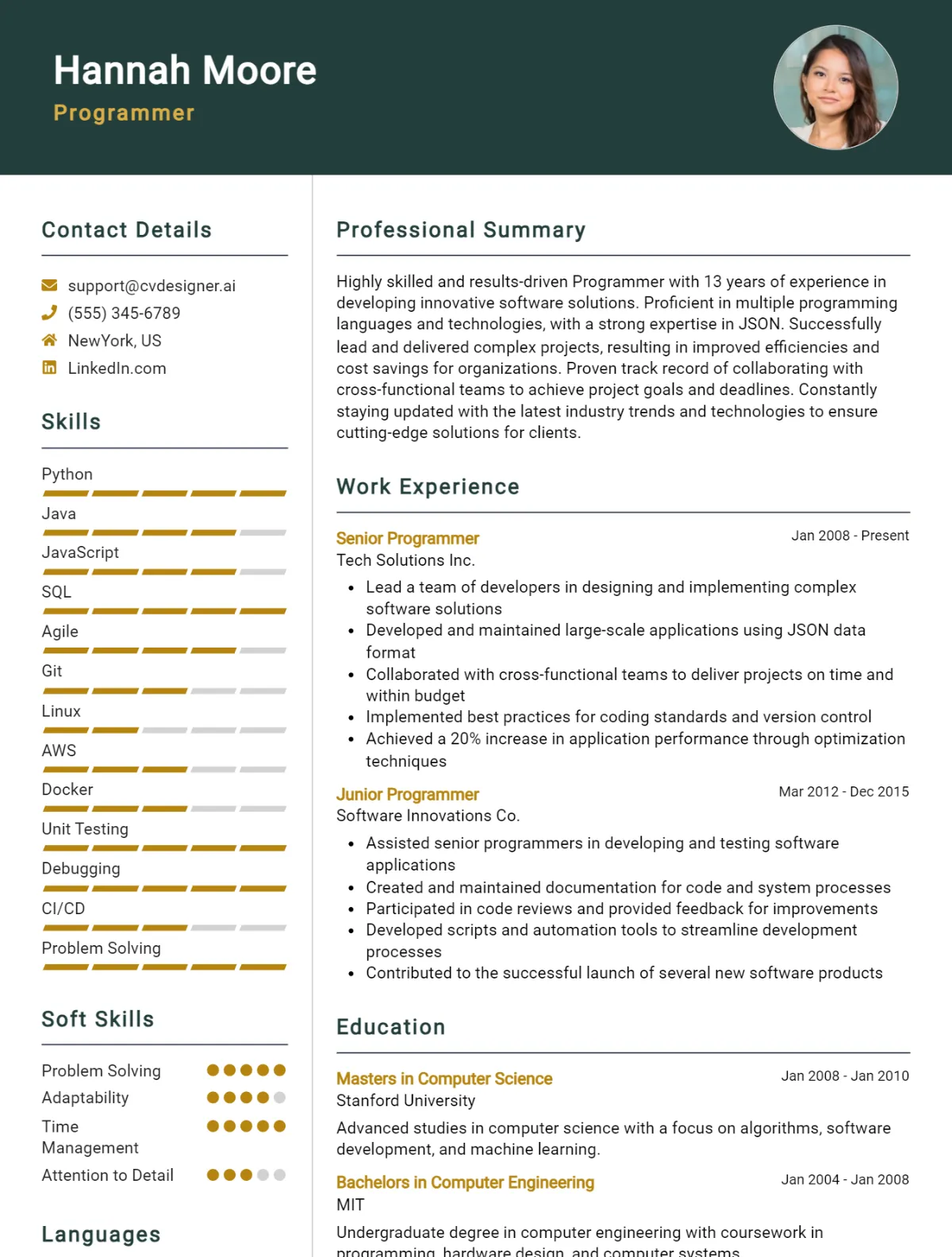 Programmer CV Example