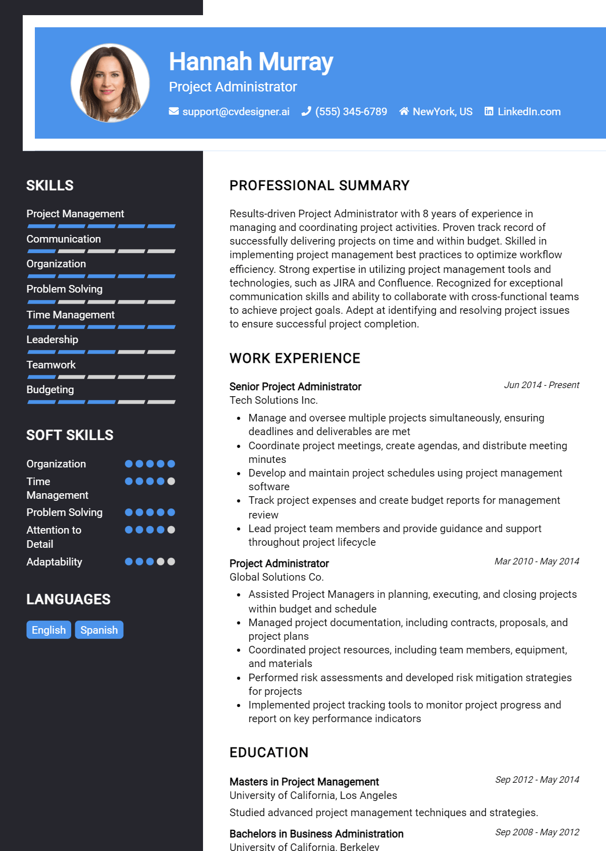 Project Administrator Resume Example