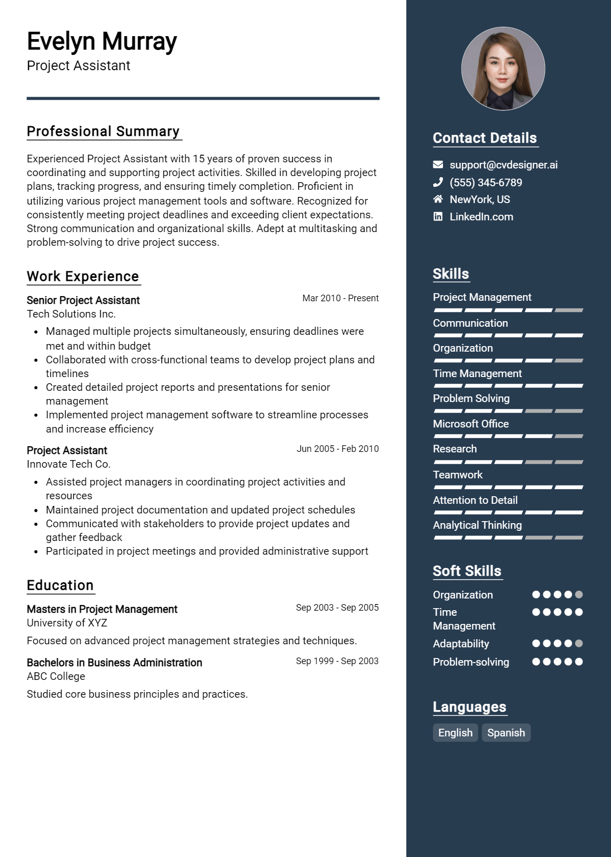 Project Assistant Resume Example