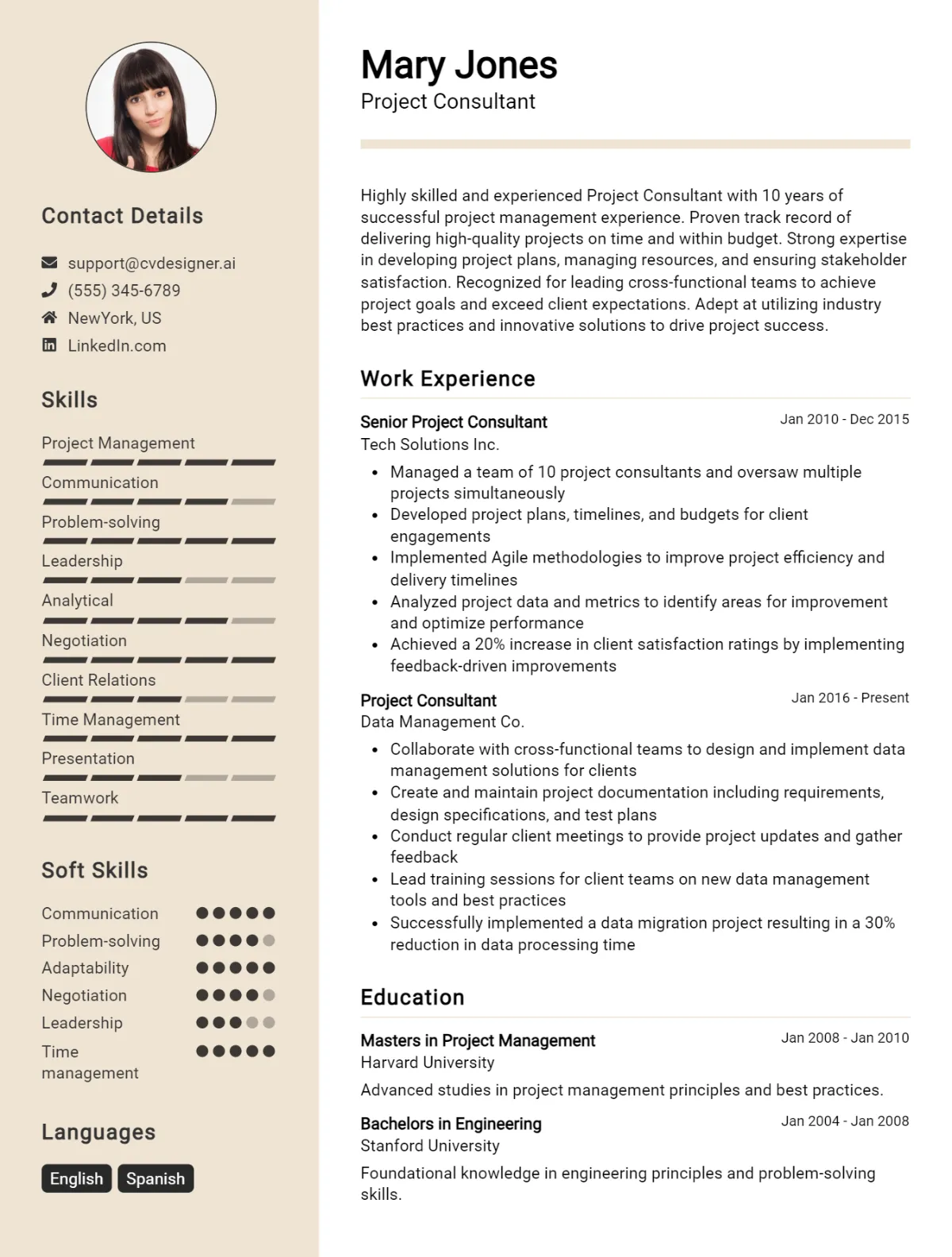 Project Consultant CV Example