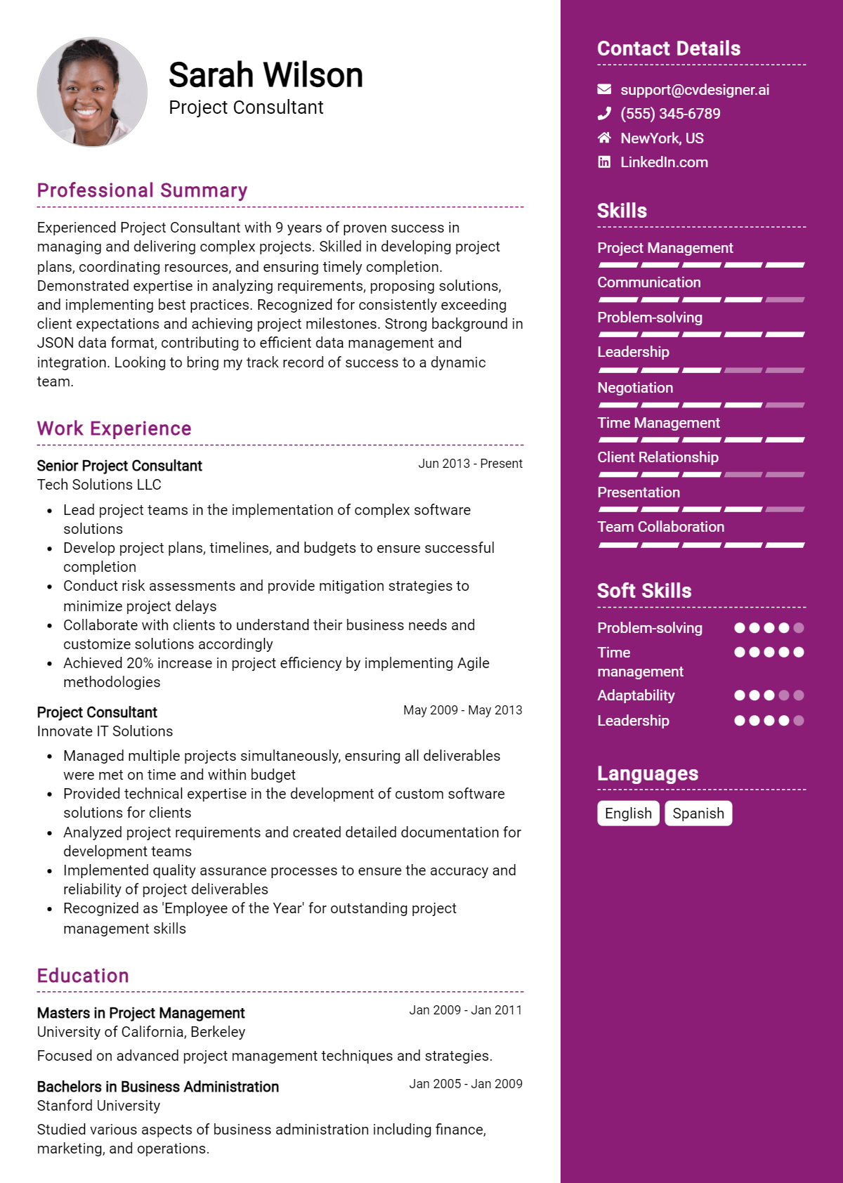 Project Consultant Resume Example