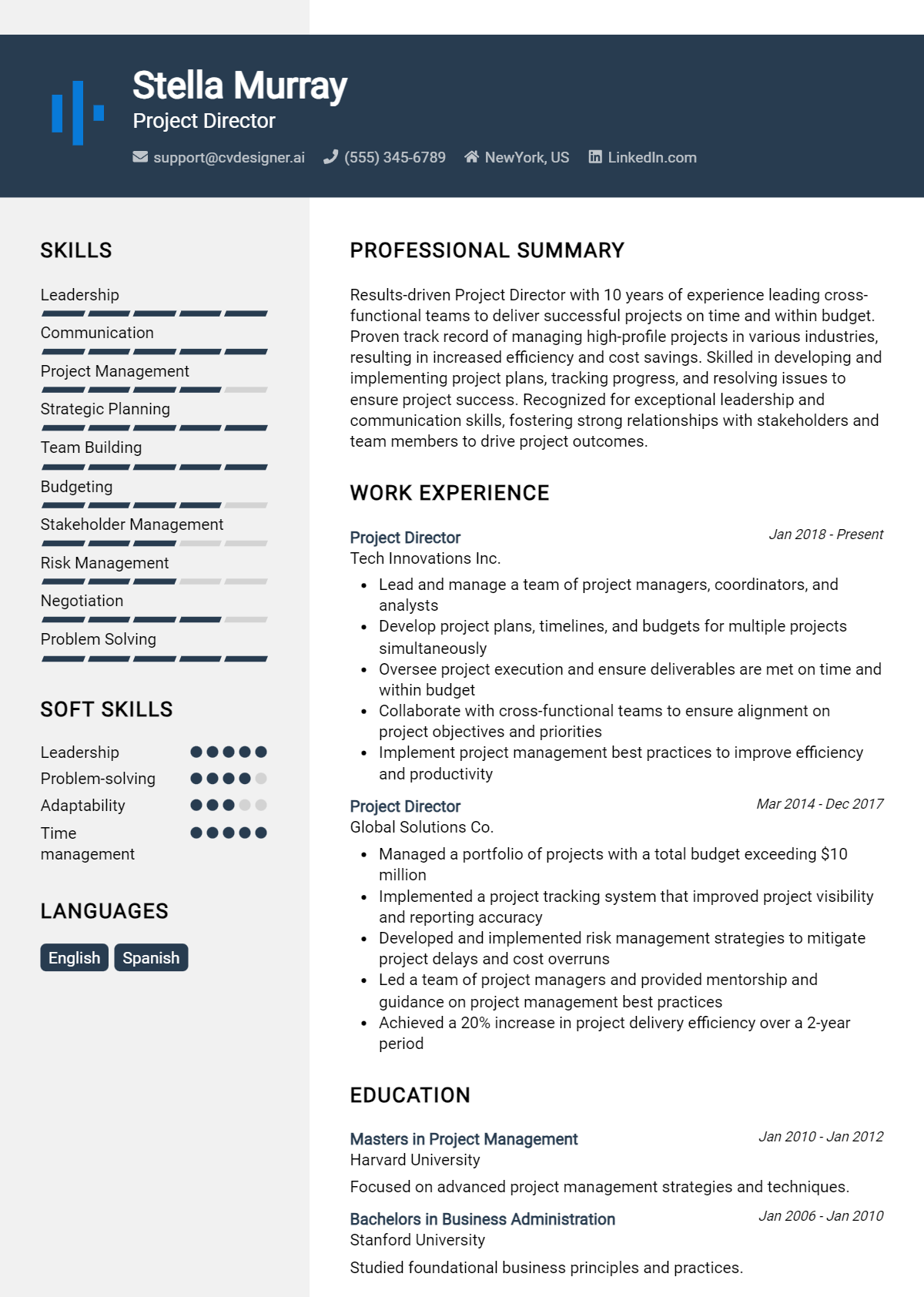 Project Director Resume Example