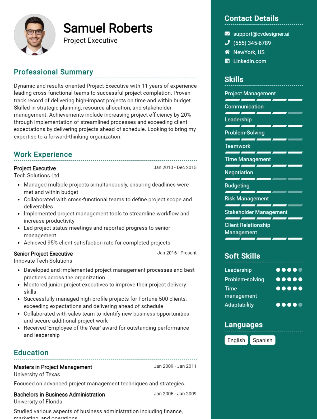 Project Executive CV Example