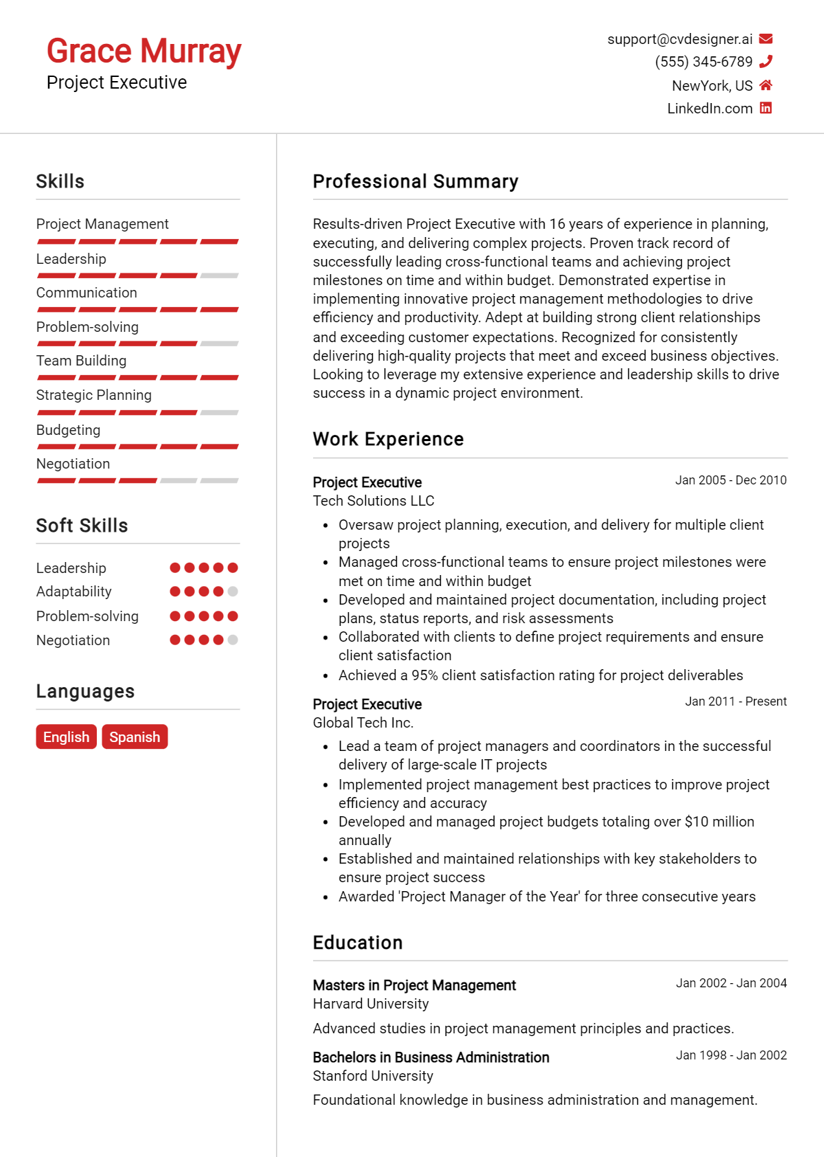 Project Executive Resume Example