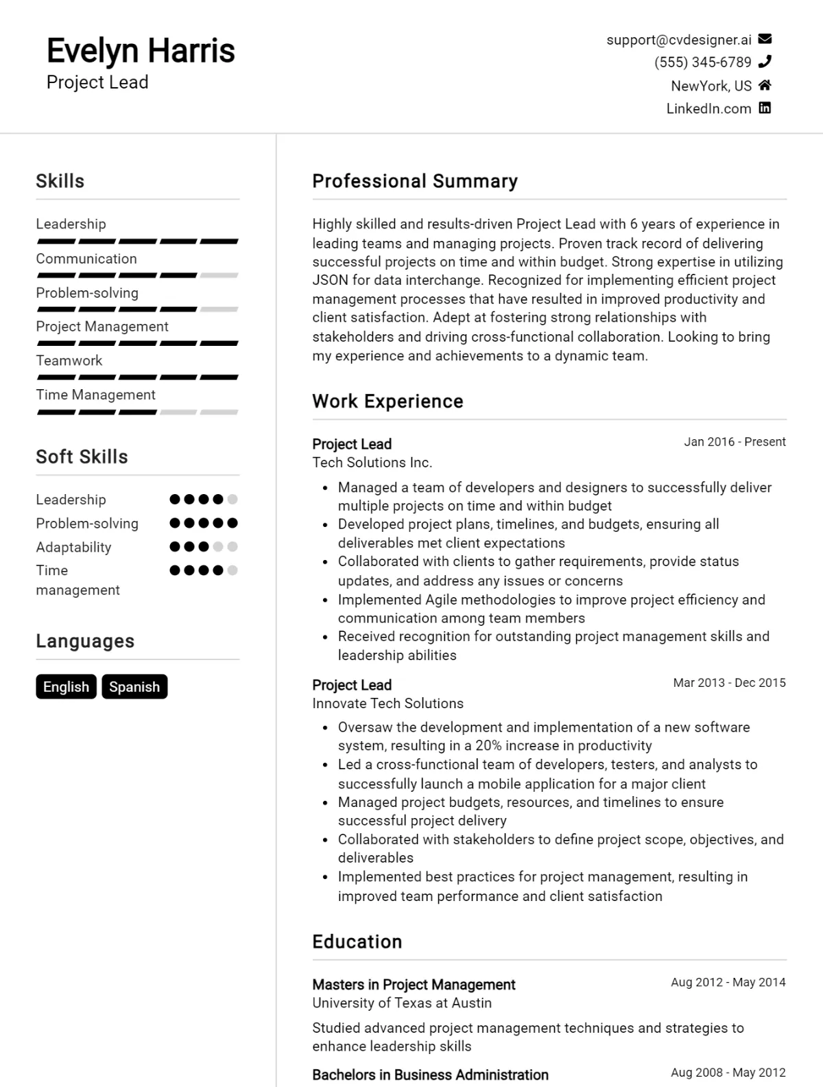 Project Lead CV Example