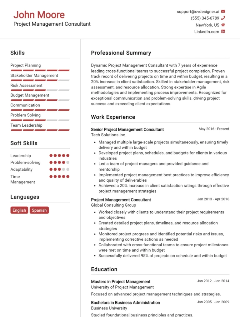 Project Management Consultant CV Example For 2025: How to Create a Professional CV