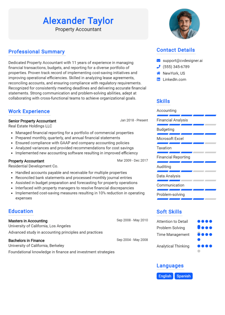 Property Accountant Resume Example