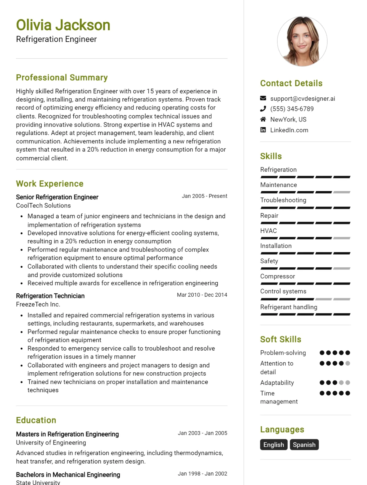 Refrigeration Engineer CV Example