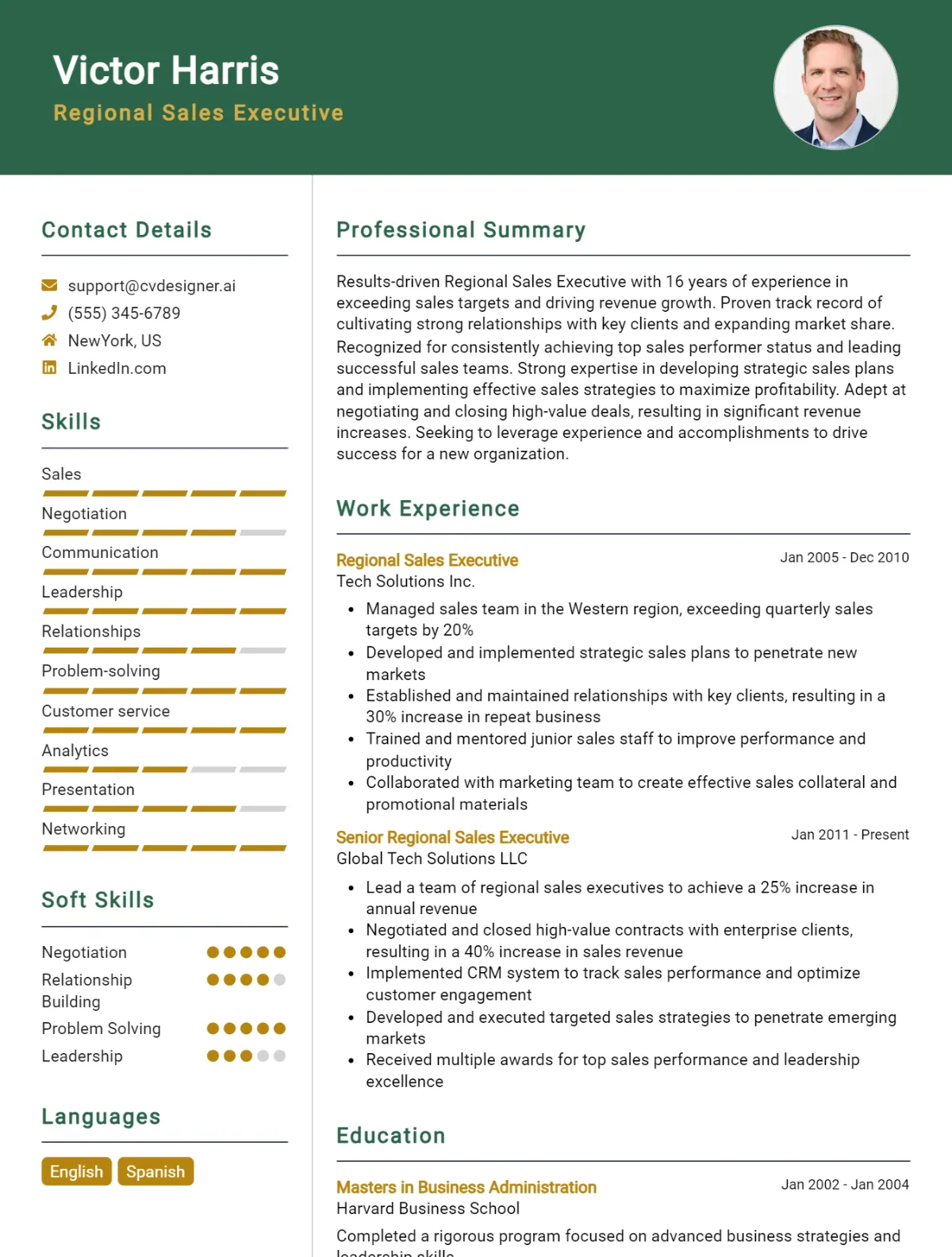 Regional Sales Executive CV Example