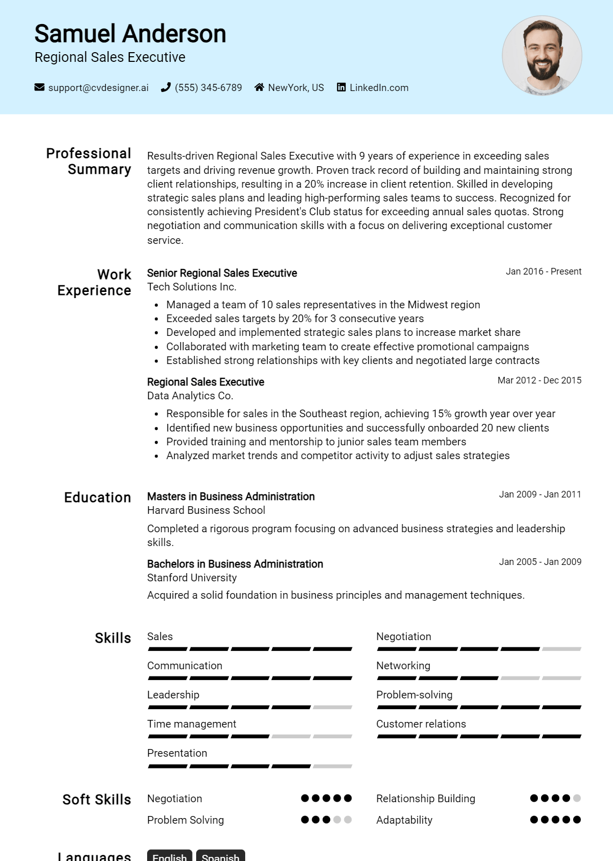 Regional Sales Executive Resume Example