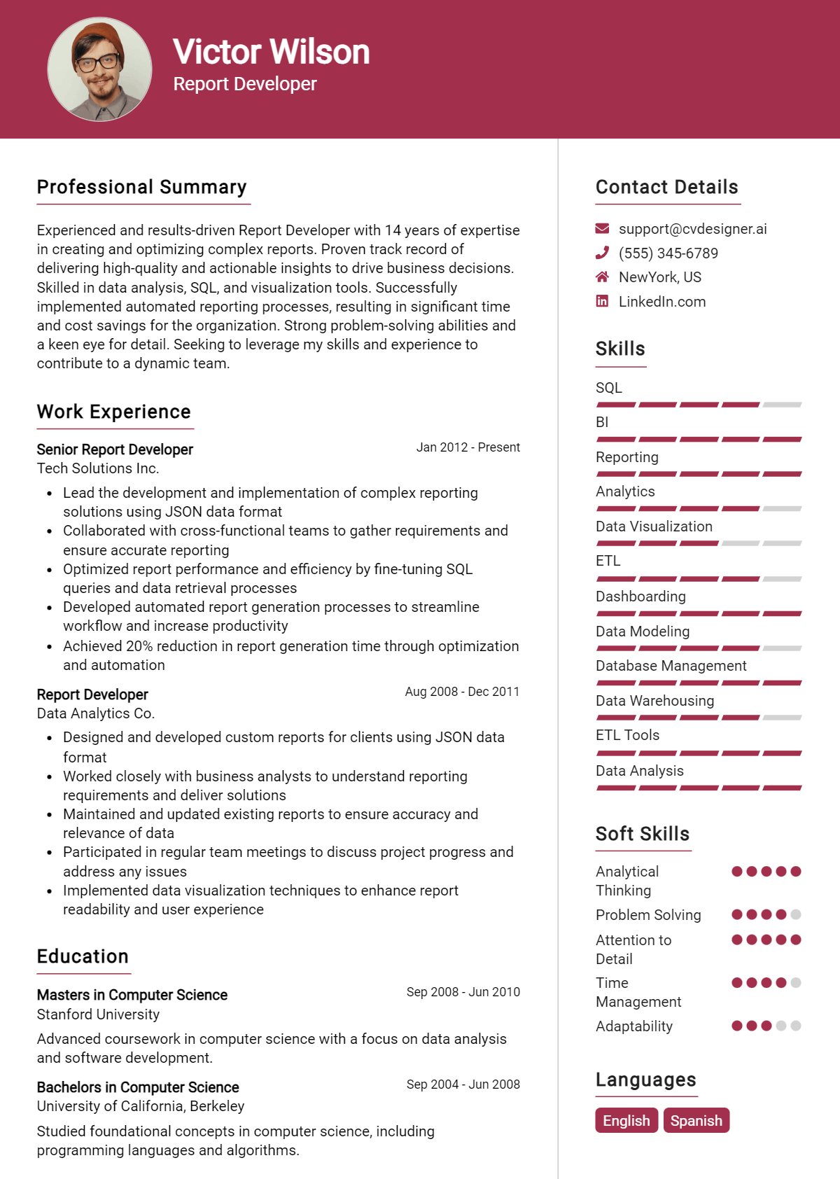 Report Developer Resume Example