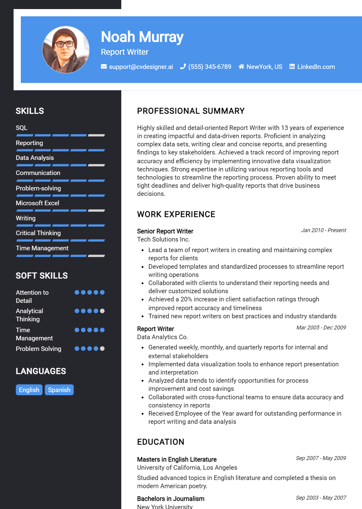 Report Writer Resume Example