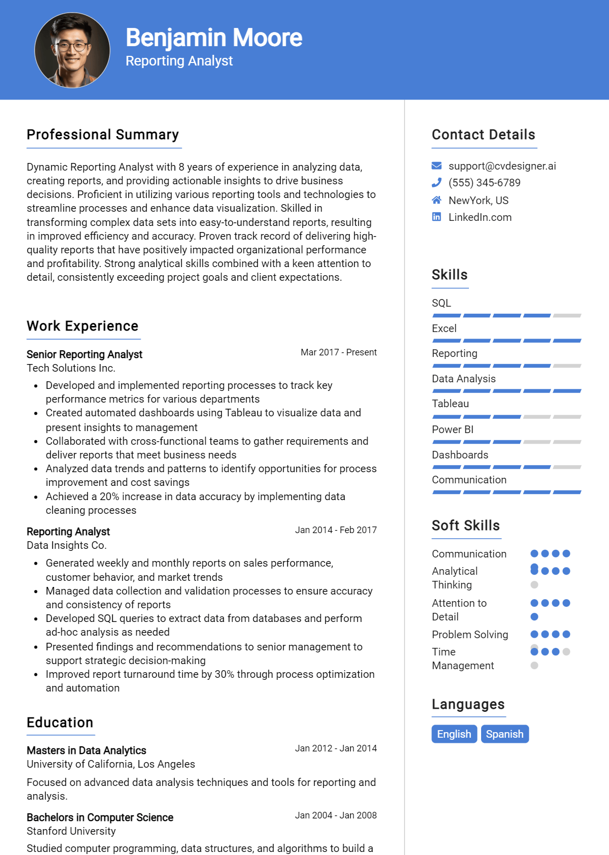 Reporting Analyst Resume Example