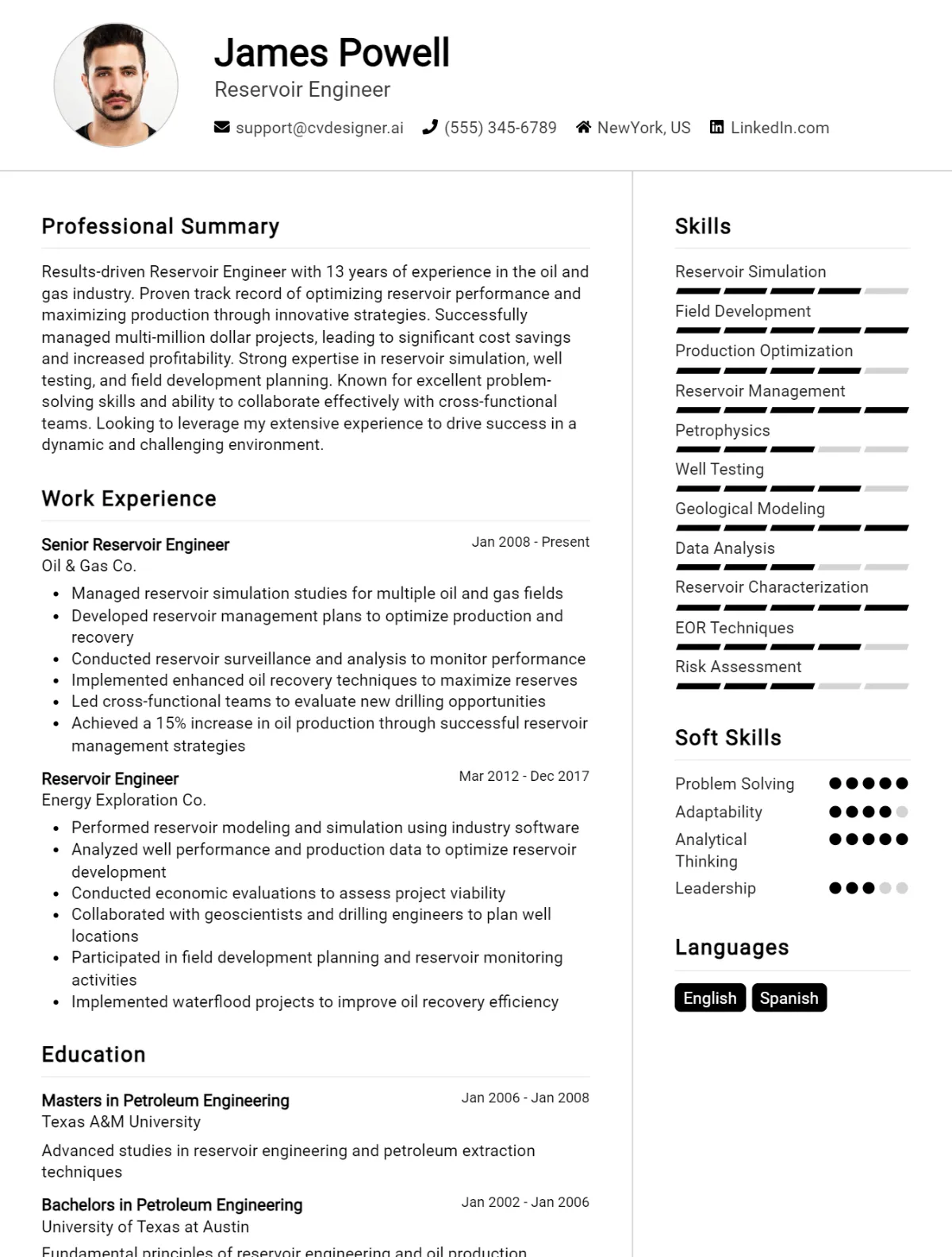 Reservoir Engineer CV Example