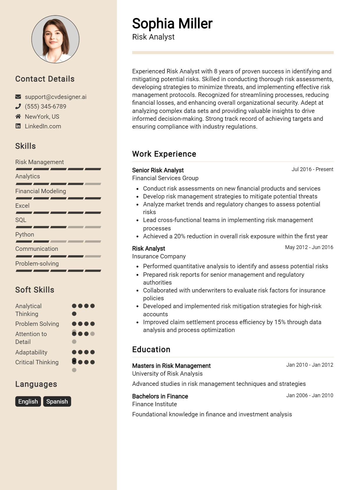 Risk Analyst Resume Example
