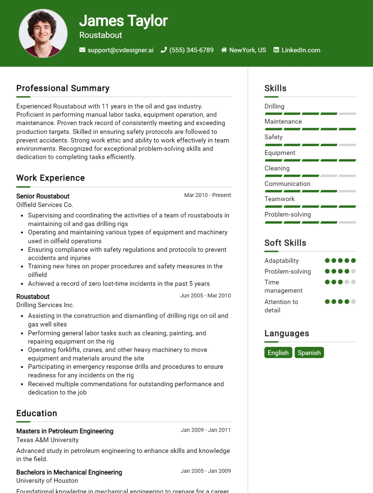 Roustabout CV Example