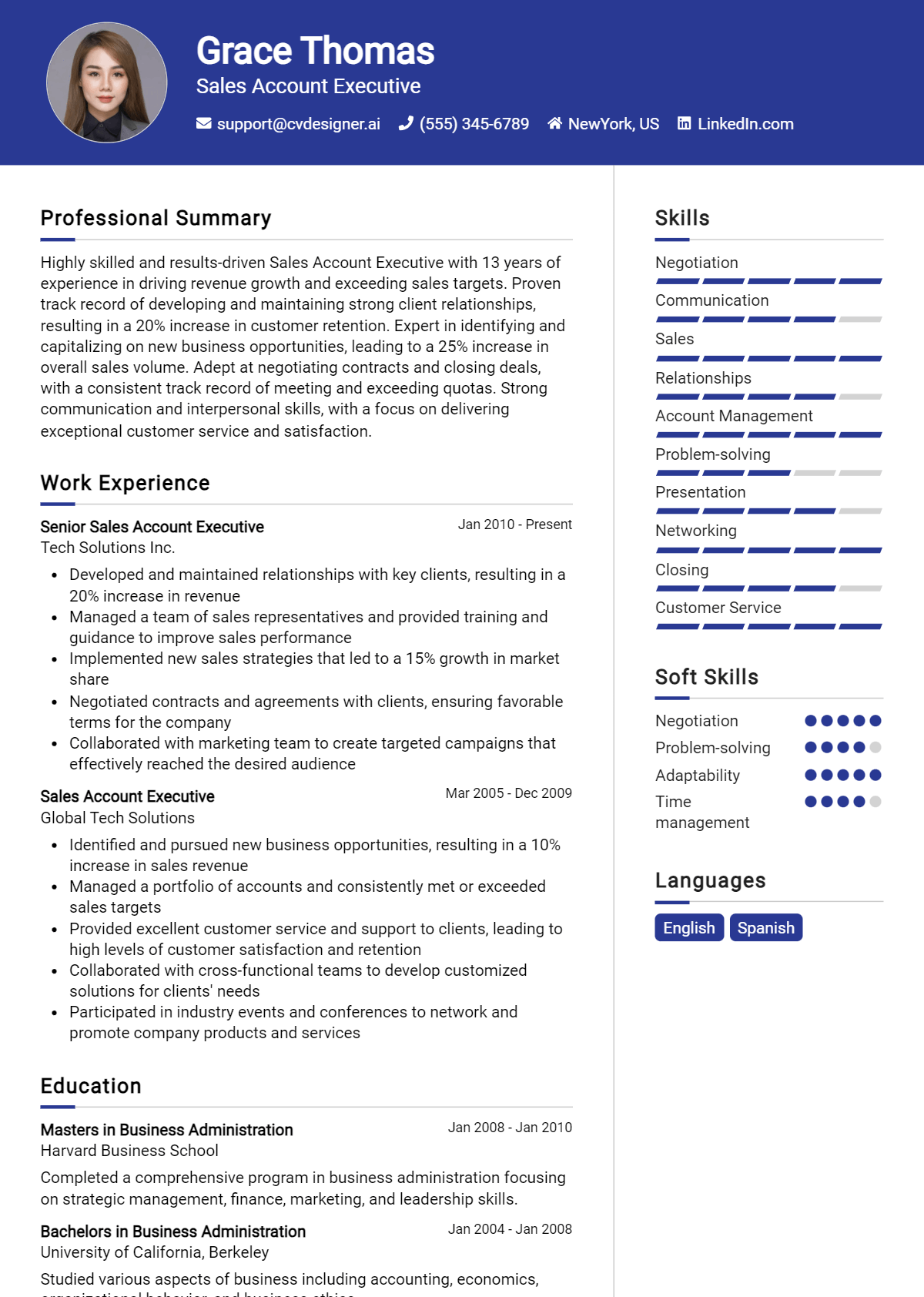 Sales Account Executive Resume Example