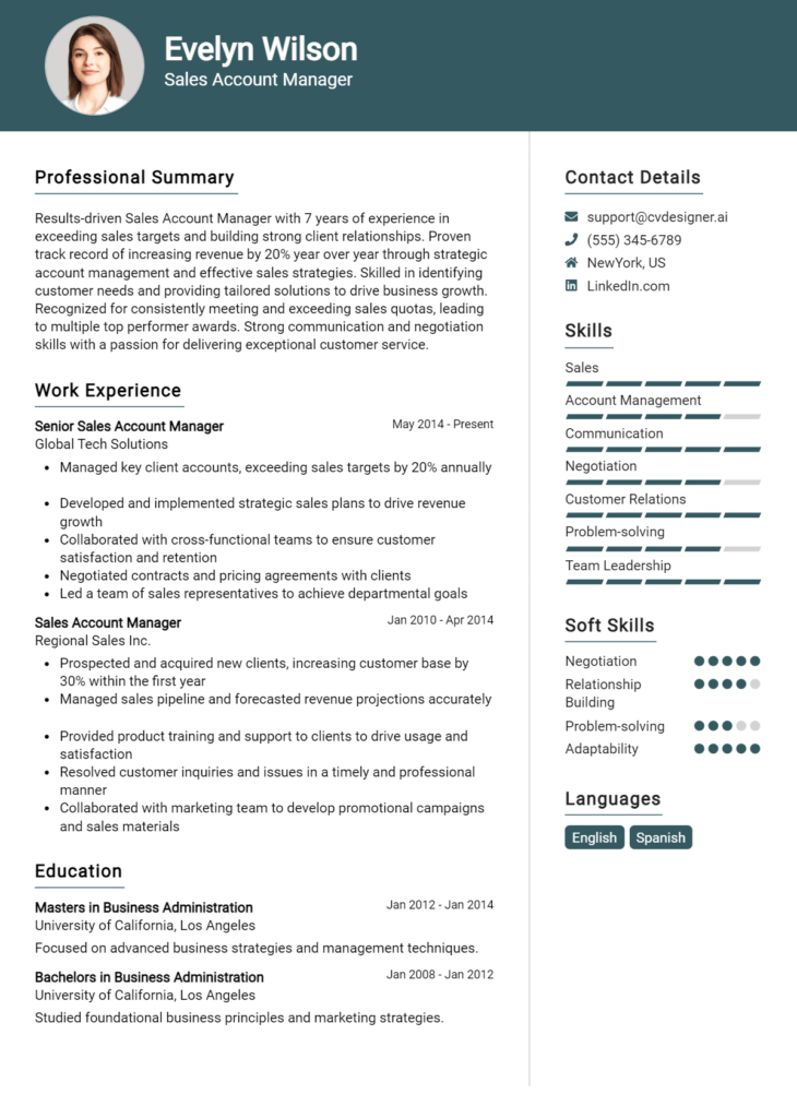 Sales Account Manager Resume Example