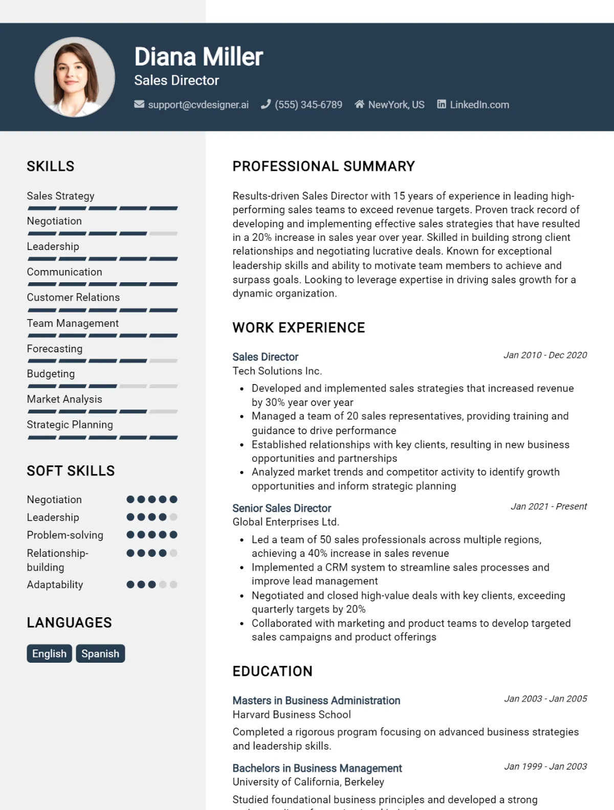 Sales Director CV Example