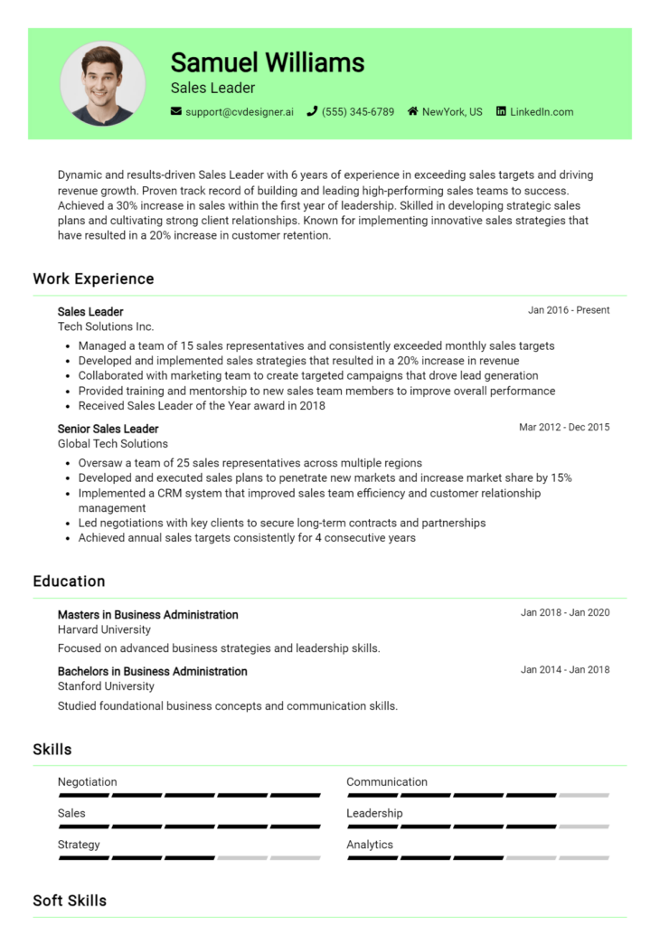 Sales Leader Resume Example for 2024: Ultimate Guide - CVDesigner.ai