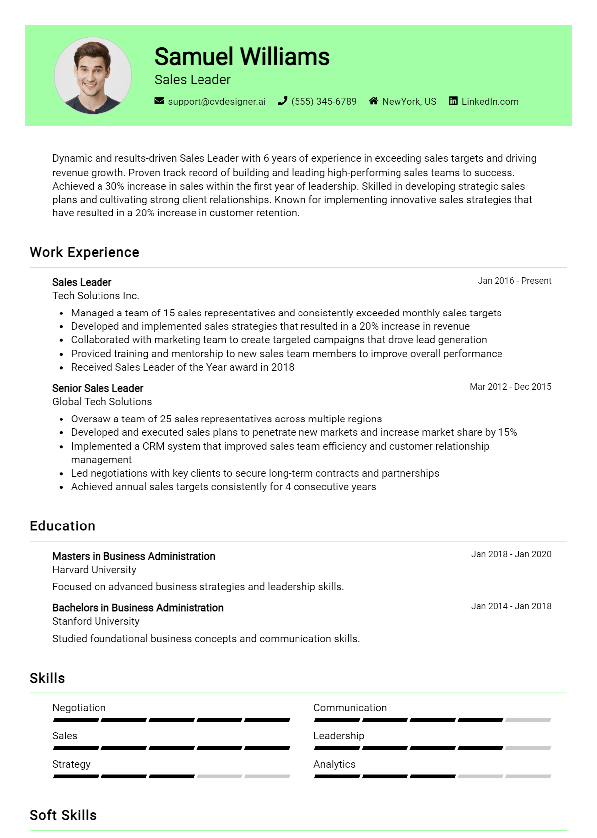 Sales Leader Resume Example