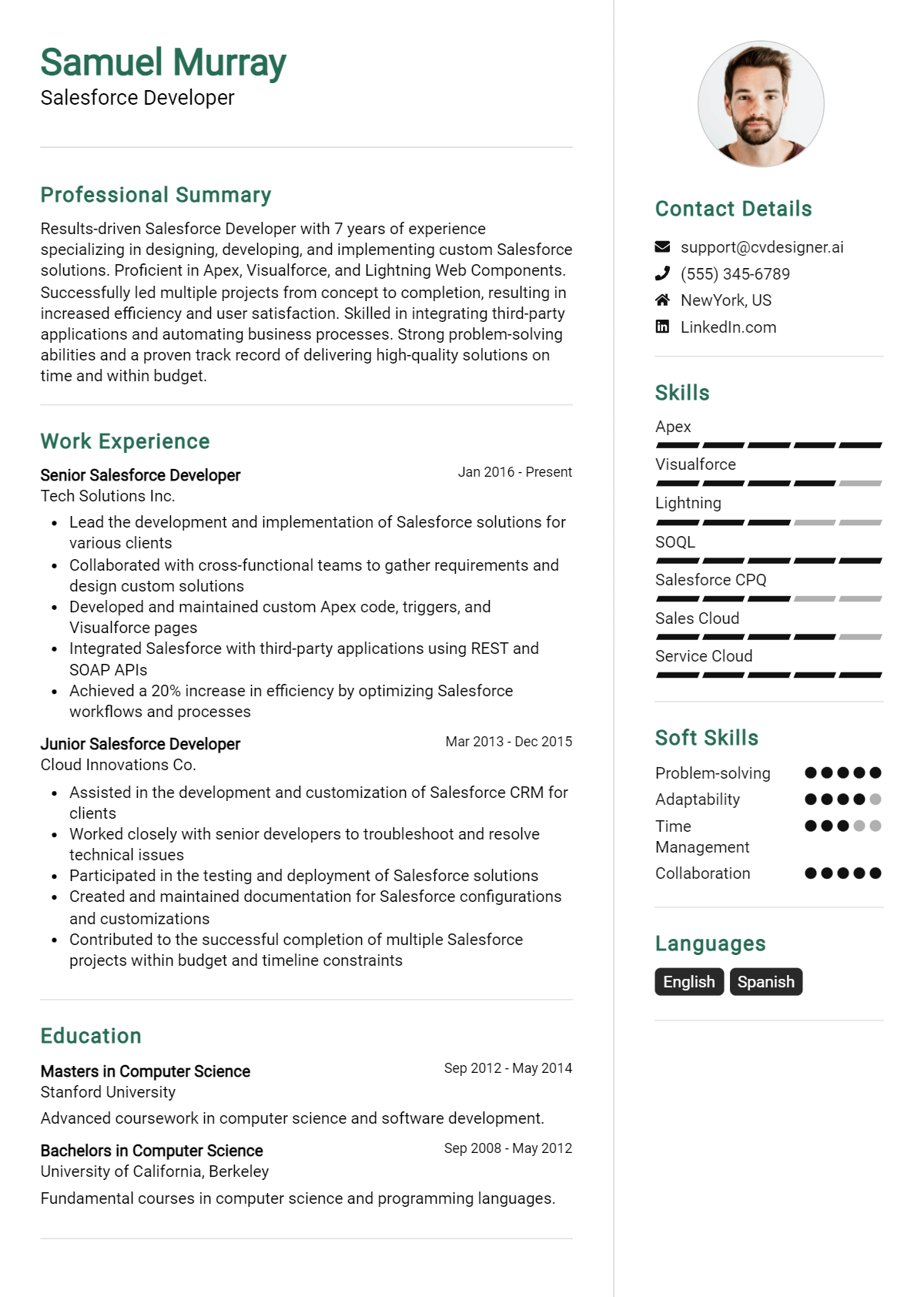 Salesforce Developer Resume Example