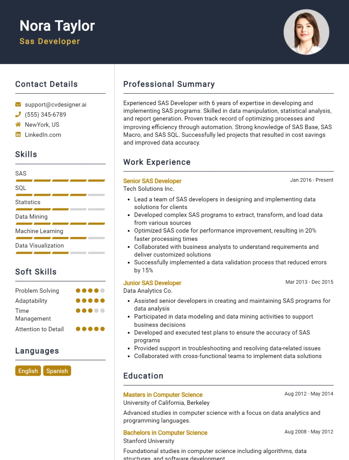 Sas Developer CV Example