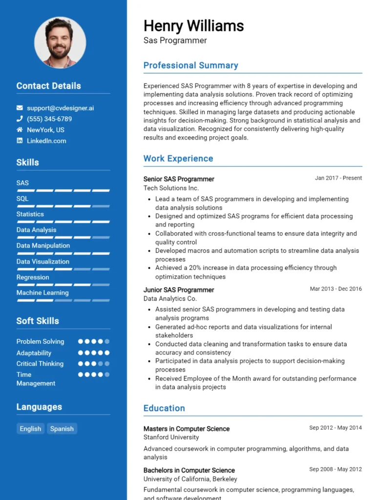 Sas Programmer CV Example