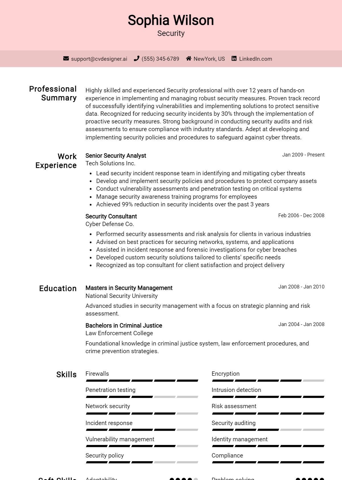 Security Resume Example