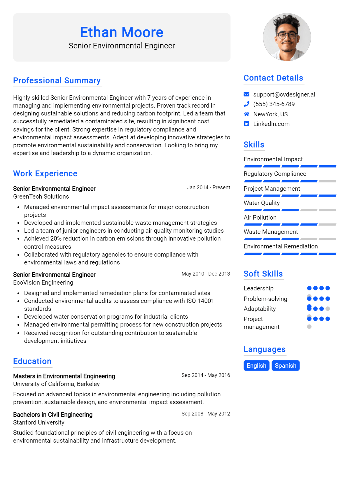Senior Environmental Engineer Resume Example