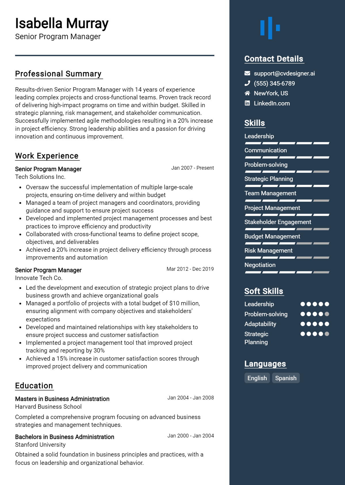 Senior Program Manager Resume Example