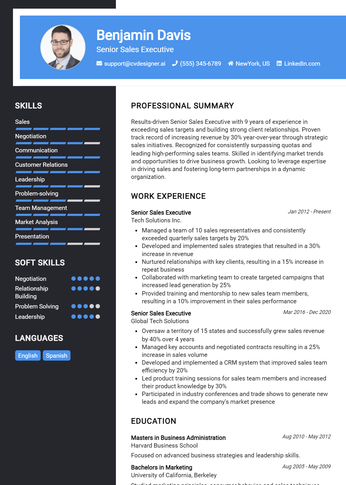 Senior Sales Executive Resume Example